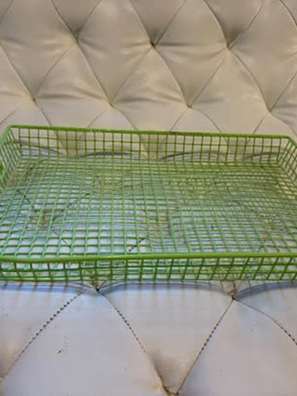 Green Wire Mesh Storage Basket